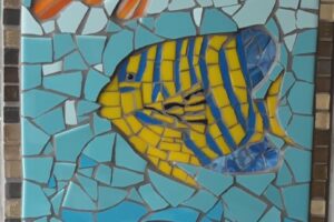 vissen minibieb vissen minibieb